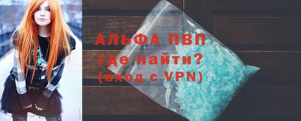 прущие грибы Корсаков