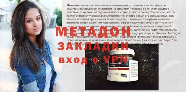 прущие грибы Корсаков