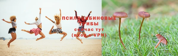 гидропоника Костерёво
