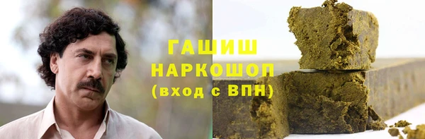 прущие грибы Корсаков