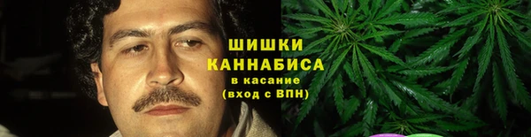 прущие грибы Корсаков