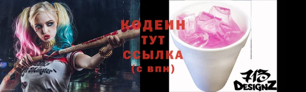 прущие грибы Корсаков