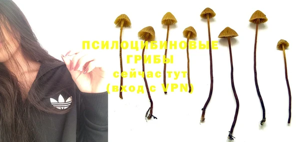 стаф Краснотурьинск