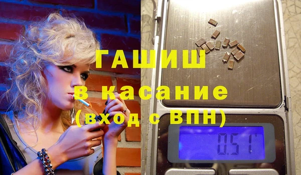 прущие грибы Корсаков