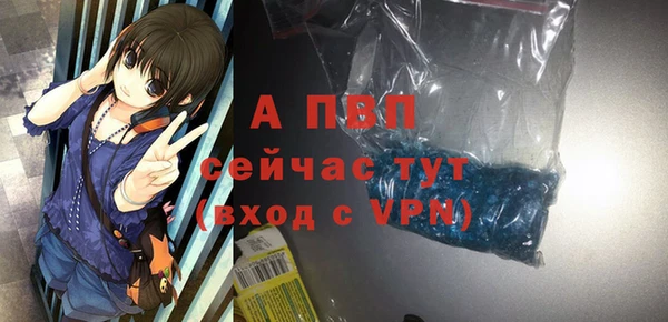 прущие грибы Корсаков
