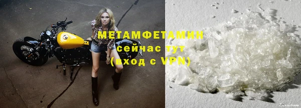 прущие грибы Корсаков