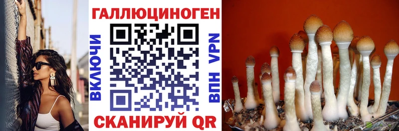 Псилоцибиновые грибы Cubensis  Купить  Дегтярск 